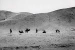 Poseta Mongoliji: u lova?koj bazi