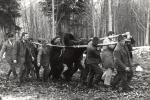 Na lovnom terenu u Koprivnici sa ustreljenim medvedima
