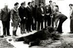 Ulovljen medved ?arka Broza u Bugojnu